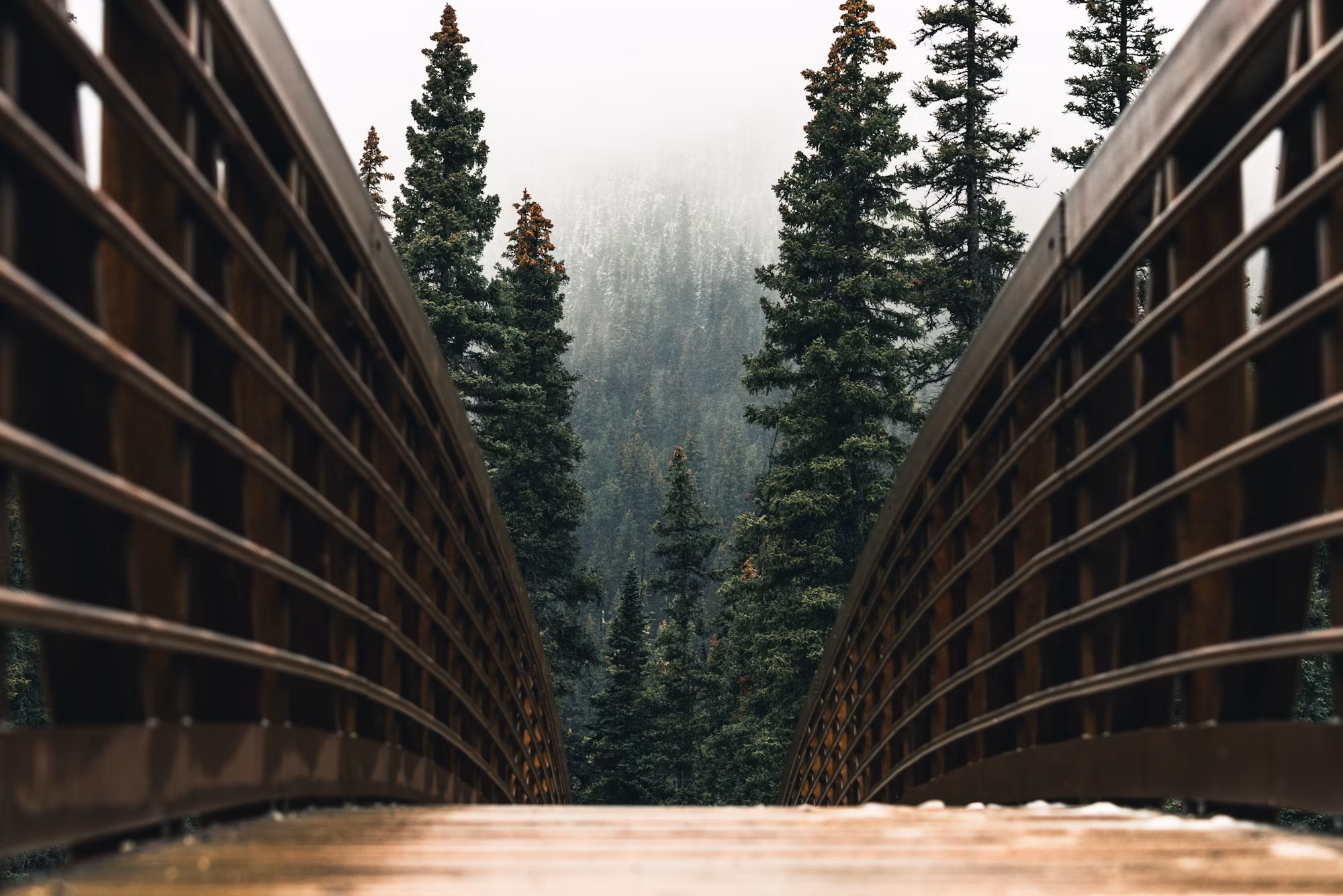 Navigating the Trails: A Comprehensive Look at Different Hiking Experiences